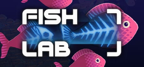 Complete Guides Hub